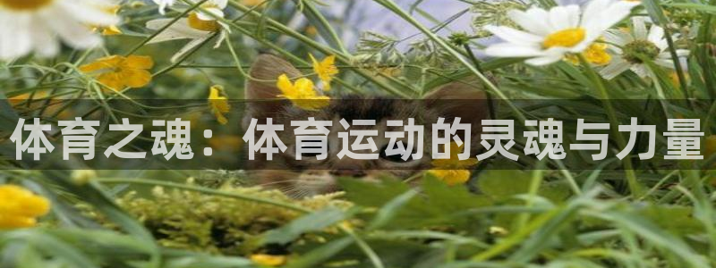 意昂2平台登录