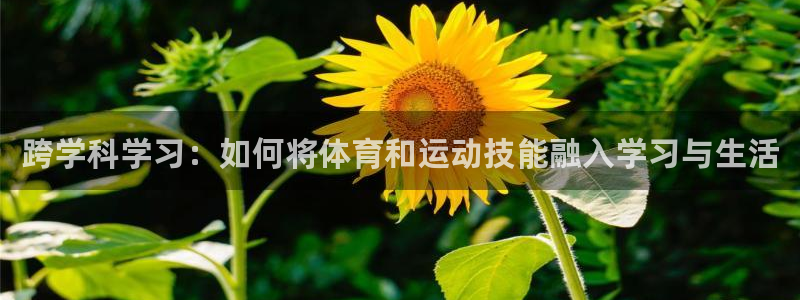意昂3注册