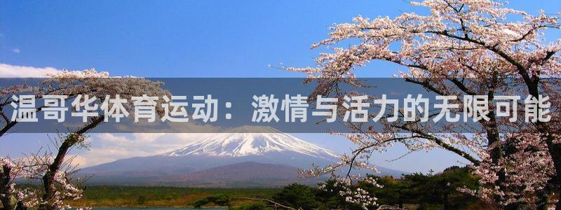 意昂体育凯捷平台招商