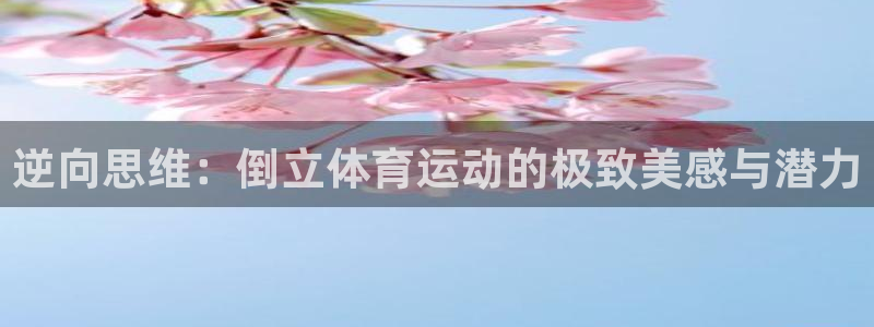 意昂2登录入口