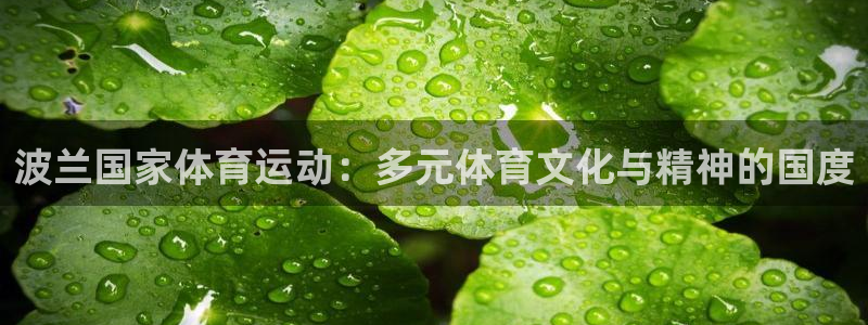 意昂4平台注册
