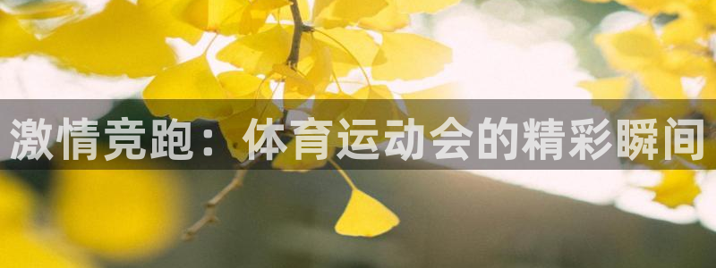 福建意昂机电股份公司