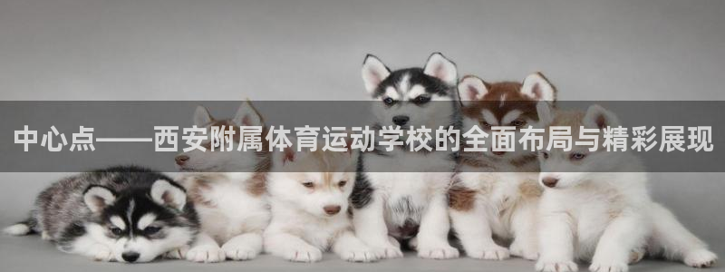 意昂2体育登录入口