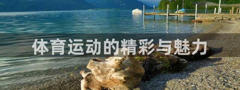 意昂体育2官网入口
