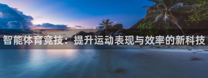 意昂包怎么样