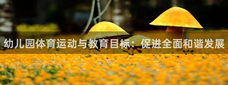意昂体育eon