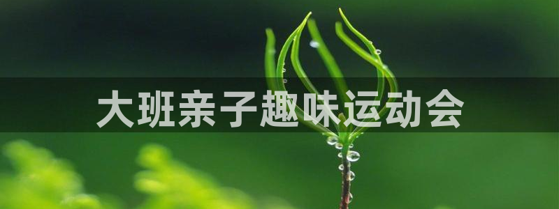 意昂4官网