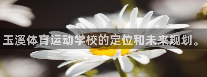意昂体育和杏耀是哪个公司的
