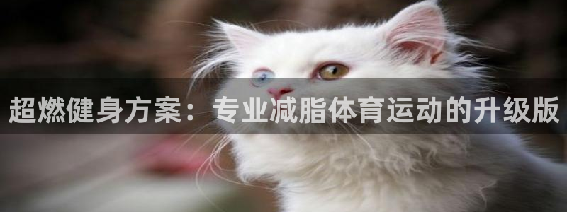 上海意昂汽车电子有限公司